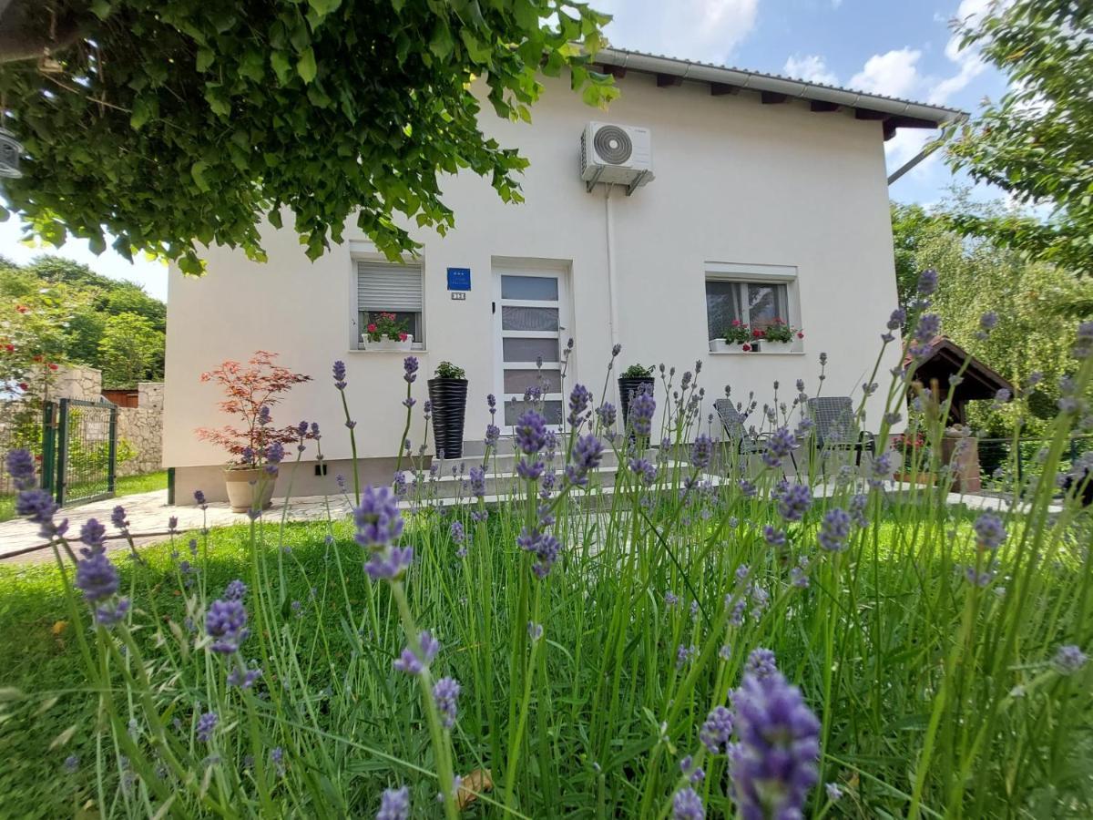 Studio Apartman Marta Korenica Exterior foto